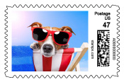 PictureItPostage summer dog stamp